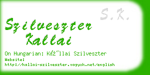 szilveszter kallai business card